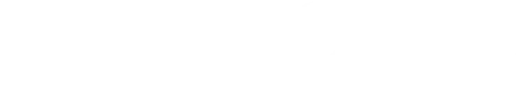VTB Group Logo weiß